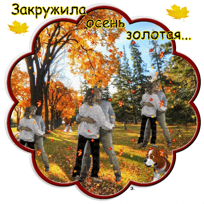 Закружил