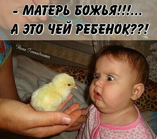 мм Ёажьяш яэта чгйгіввгнокгг