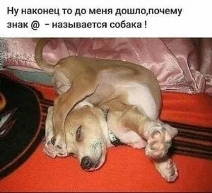Ну наконец то до меня дошлолочему знак называется собака