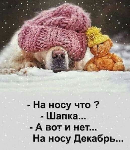 На носу что Шапка А вот и нет На носу декабрь
