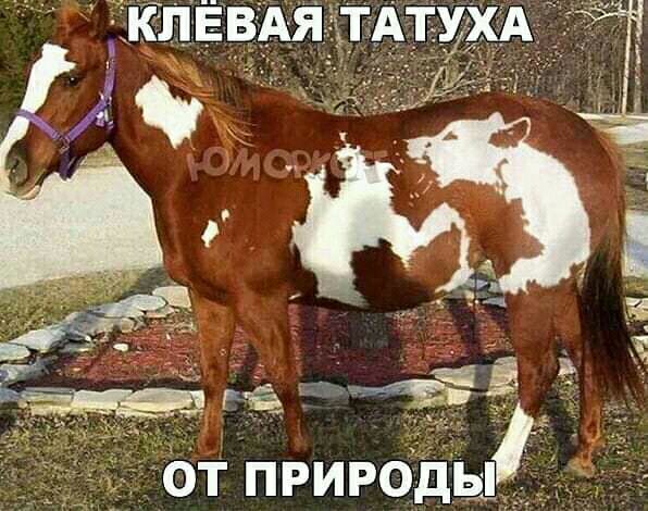 Ё::н!г езё.  От природы