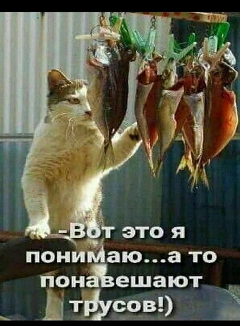 Пониммаю...а то понавешают. Ё  штвусов