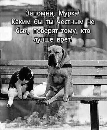 1 ким бы ты !пестнымне оы! Паверят тому кто.