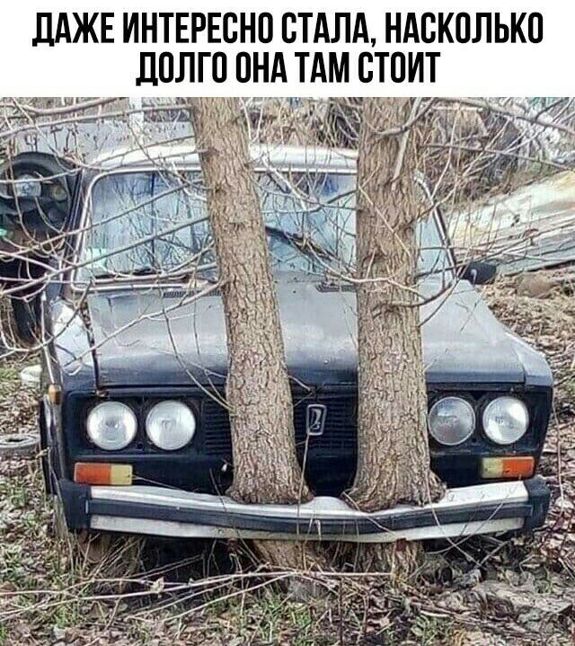 ЛАЖЕ ИНТЕРЕСНО стдлд ндсколько _долго ондт м стои ТЗ