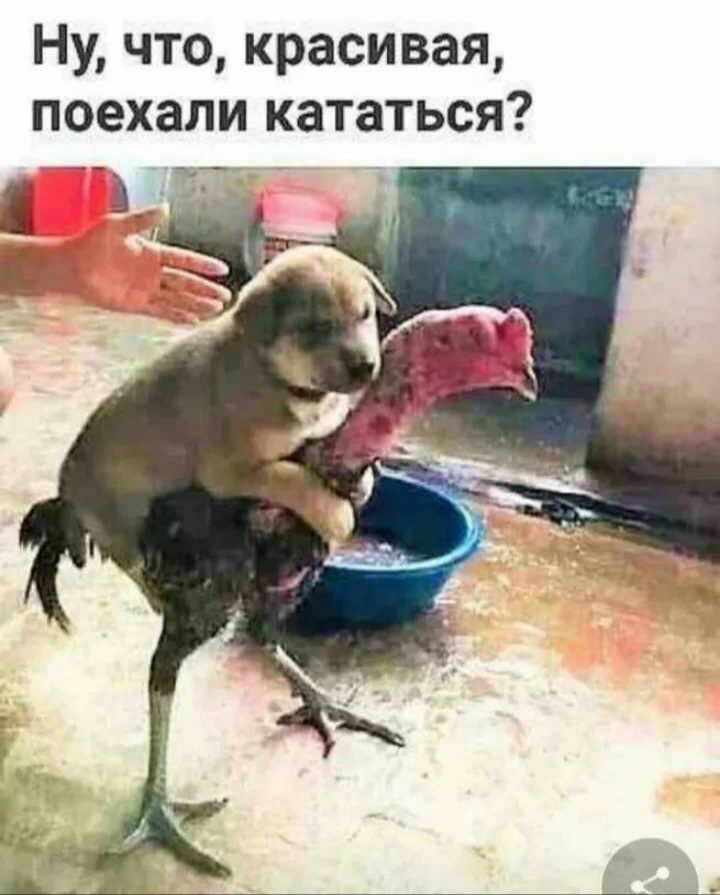 Ну что красивая поехали кататься 32