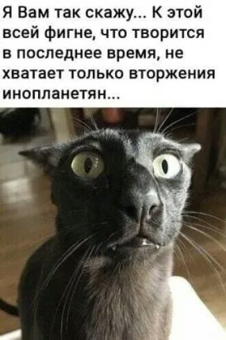 Я Вам так скажу К этой всей фигне что творится в последнее время не хватает только вторжения инопланетян