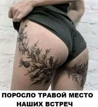 поросло ТРАВОЙ место ндших встреч