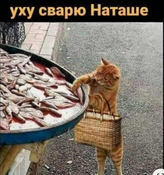 уху сварю Наташе