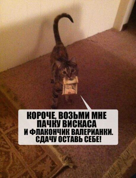 КОРПЧЕ ВВЗЬМИ МНЕ ШШШ ШШШ И ФПМЮПЧИИ ШШЕРИМПШ Вдд ПБТАВЬ НБП