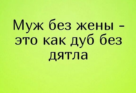 Муж без жены это как дуб без дятла