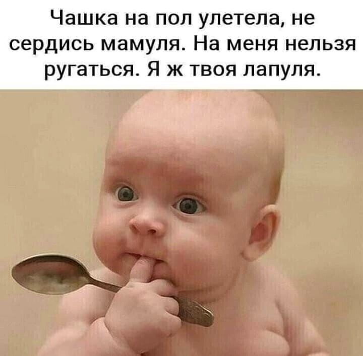 Чашка на ПОЛ улетела не сердись мамупя На МЕНЯ нельзя ругаться Я ж твоя лапупя