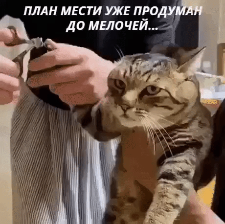 ПЛАН МЕСТИ УЖЕ ПЕО ДО МЕЛОЧЕИ