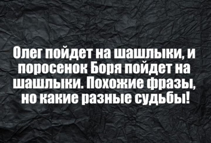 пле пойдет на шащпыни и попосенон Боня поидет на шашлыки Похожие шпазы но вание разные судьбы