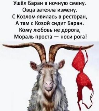 Ушёл Баран в ночную смену.
Овца затеяла измену.
С Козлом явилась в ресторан,
А там с Козой сидит Баран.
Кому любовь не дорога,
Мораль проста — носи рога!