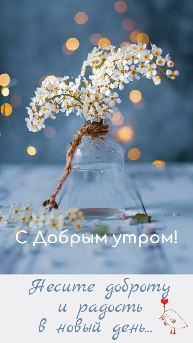 Жем дарит и да есть __ ноды день