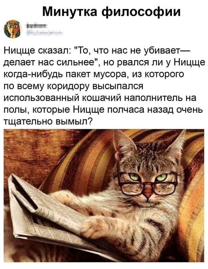 Минутка философии Ницще сказал То что нас не убивает депает нас сильнее но рвался ли у Ницще когдамибудь пакет мусора из которого по всему коридору высыпапся использованный кошачий напопнитепь на полы которые Ницще полчаса назад очень