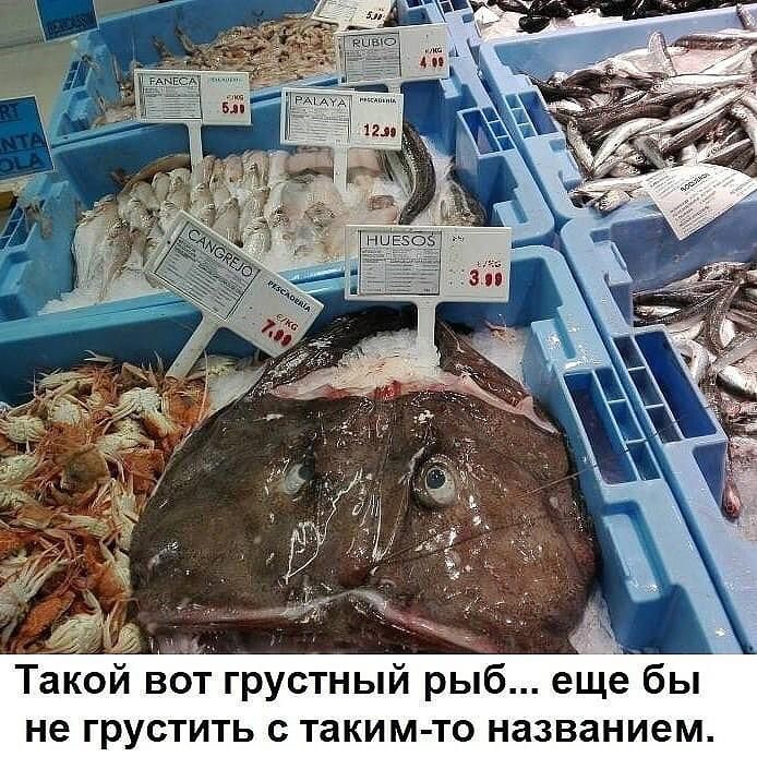 Ё и Такой вот грустный рыб еще бы не грустить с таким то названием