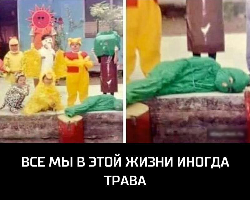 ВСЕ МЫ В ЭТОЙ ЖИЗНИ ИНОГДА ТРАВА