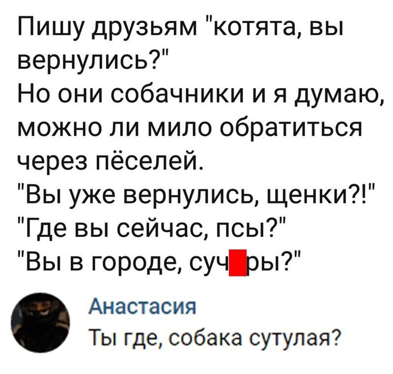 Пишу друзьям котята вы вернулись Но они собачники и я думаю можно ли мило обратиться через пёселей Вы уже вернулись щенки Где вы сейчас псы Вы в городе сучэы Анастасия Ты где собака сутулая