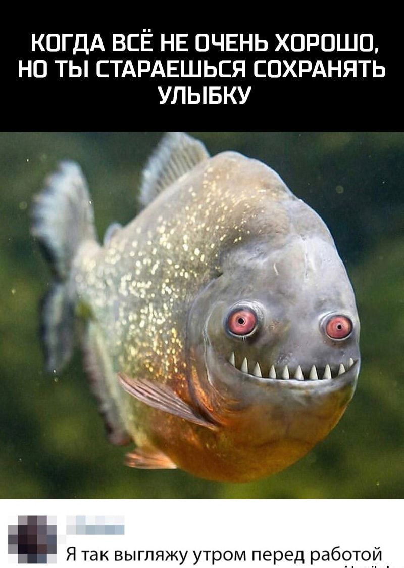 КОГДА ВСЁ НЕ ОЧЕНЬ ХОРОШО НО ТЫ СТАРАЕШЬСЯ СОХРАНЯТЬ УЛЫБКУ Я так выгляжу утром перед рабртой
