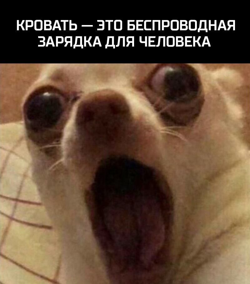 КРОВАТЬ ЭТО БЕСПРОВОДНАЯ ЗАРЯДКА ДЛЯ ЧЕЛОВЕКА