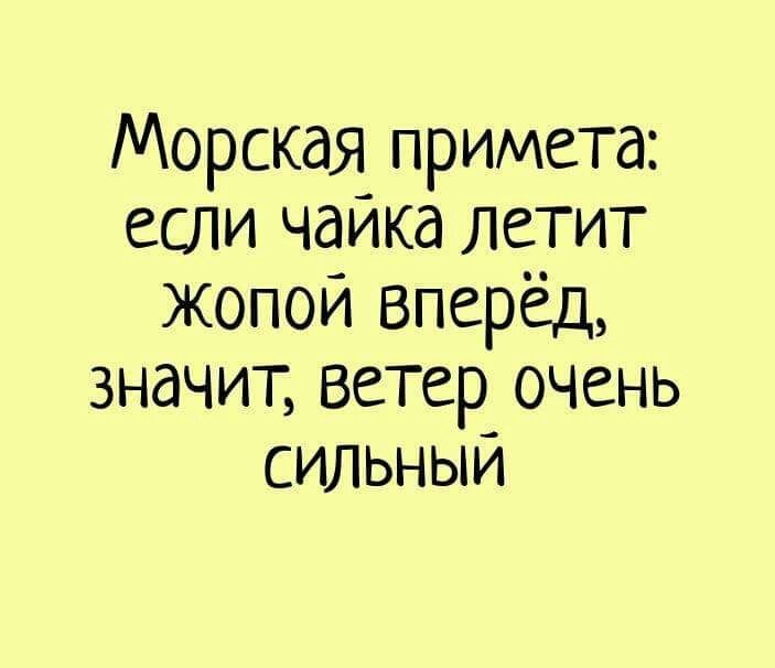 Морская примета если чаика летит жопой Вперёд значит ветер очень сильным