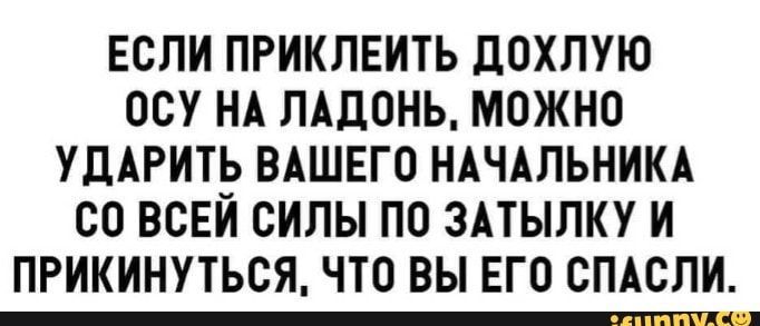 ЕСЛИ ПРИКЛЕИТЬ ДОХЛУЮ ОСУ НА ЛАДОНЬ МОЖНО УДАРИТЬ ВАШЕГО НАЧАЛЬНИКА СО ВСЕЙ СИЛЫ ПО ЗАТЫЛКУ И ПРИКИНУТЬСЯ ЧТО ВЫ ЕГО СПАСЛИ 31