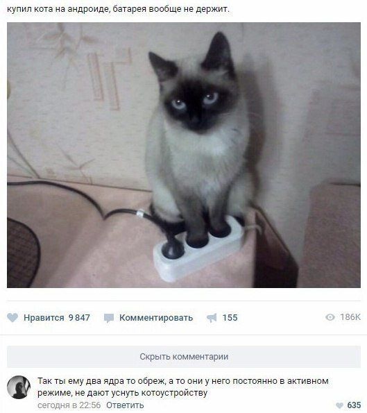 купил кота на зидроиде Батареи вообще не держит а Нравится ввп комментировать 155 Скрыть ииммгнтарии режиме не дают уснуть кптпустройстщ шпация А зь Ответить 0 Так ты ему два ядра т вбраж Ти они у него постоянно в активном