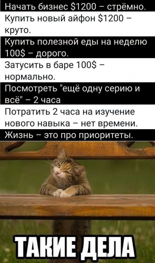Начать бизнес 1200 стёмноь Купить новый айфон 1200 круто Купить полезной еды на неделю 1008 дооого Затусить в баре 100 нормально Посмотреть ещё одну серию и всё 2 часа Потратить 2 часа на изучение нового навыка нет времени Жизнь это про приоритеты ПШИЕ дЕЛд