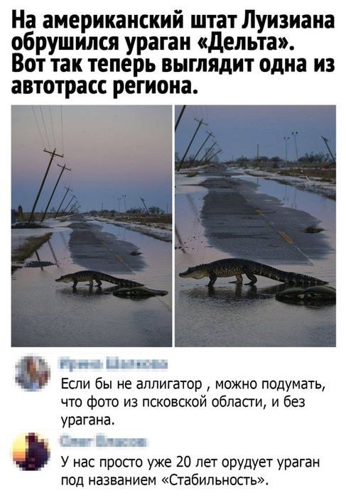 На американский штат Луизиана обрушился ураган дельта Вот так теперь выглядит одна из автотрасс региона и пн _ Ы ты Если бы не аллигатор можно подумать что фото из псковской области и без урагана ч Е о У нас прост уже 20 лет орудует ураган под названием Стабипьносгь