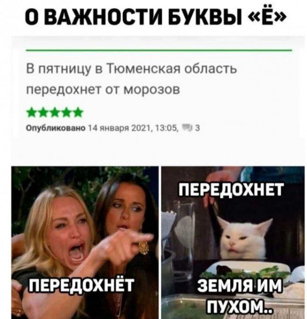 о ВАжности Буквы Ё В пятницу 5 Тюменская область передохнет от морозов Опубликоваио ым ПЕРЕДОХНЁТ