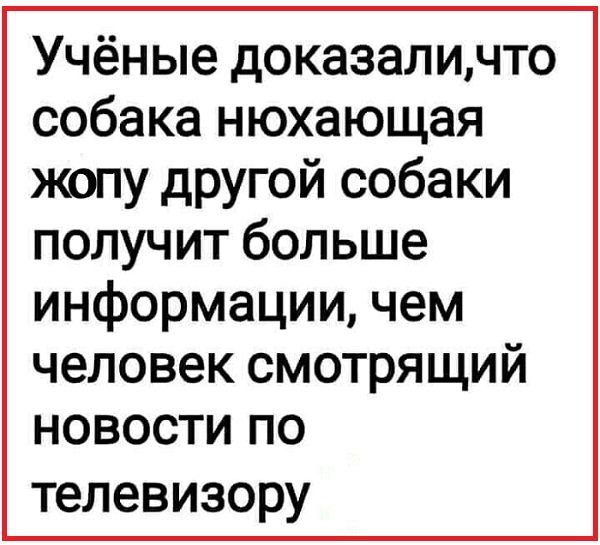Учёные доказаличто собака нюхающая жопу другой собаки получит больше информации чем человек смотрящий новости по телевизору