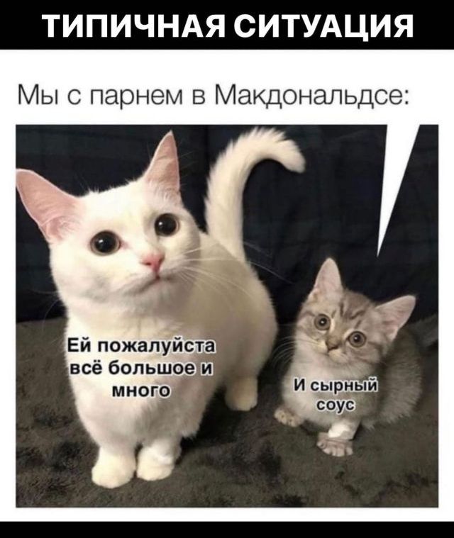 ТИПИЧНАЯ СИТУАЦИЯ Мы с парнем в Макдональдсе