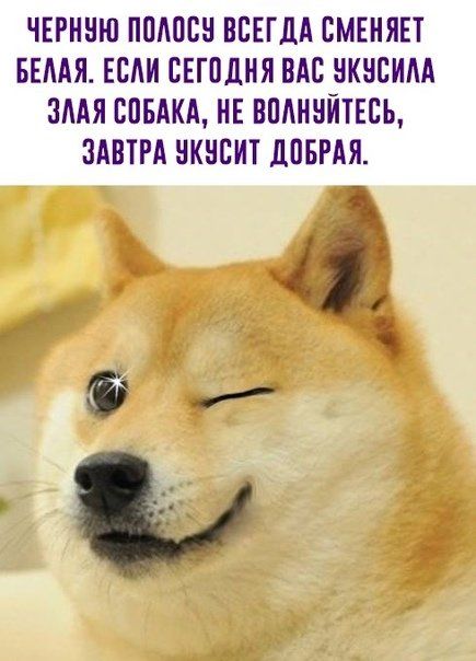 ЧЕРННЮ ППАПЕН ВСЕГДА ЕМЕИЯЕТ БЕААЯ ЕСАИ СЕГОДНЯ ВАС ВКЧСИАА ЗААЯ СОБАКА НЕ ВПАННЙТЕСЬ ЗАВТРА НКНЕИТ дПБРАЯ