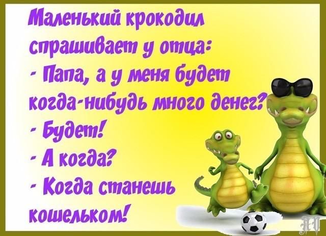 Маленький крокодил спрашивает у отца Папа а у мет будет когда нибудь мого дет Будет А когда Когда станешь кошельком