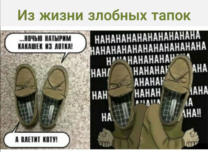 Из жизни злобных тапок т НАНАНАНАНАНАНАНАНАН АНАНАНАНАНАНАНАНАНАНА 1 ННАНАНАНАР Ёндн1 ндндндг АНдНАР ндн ндндн ААНА в А НА дню 55