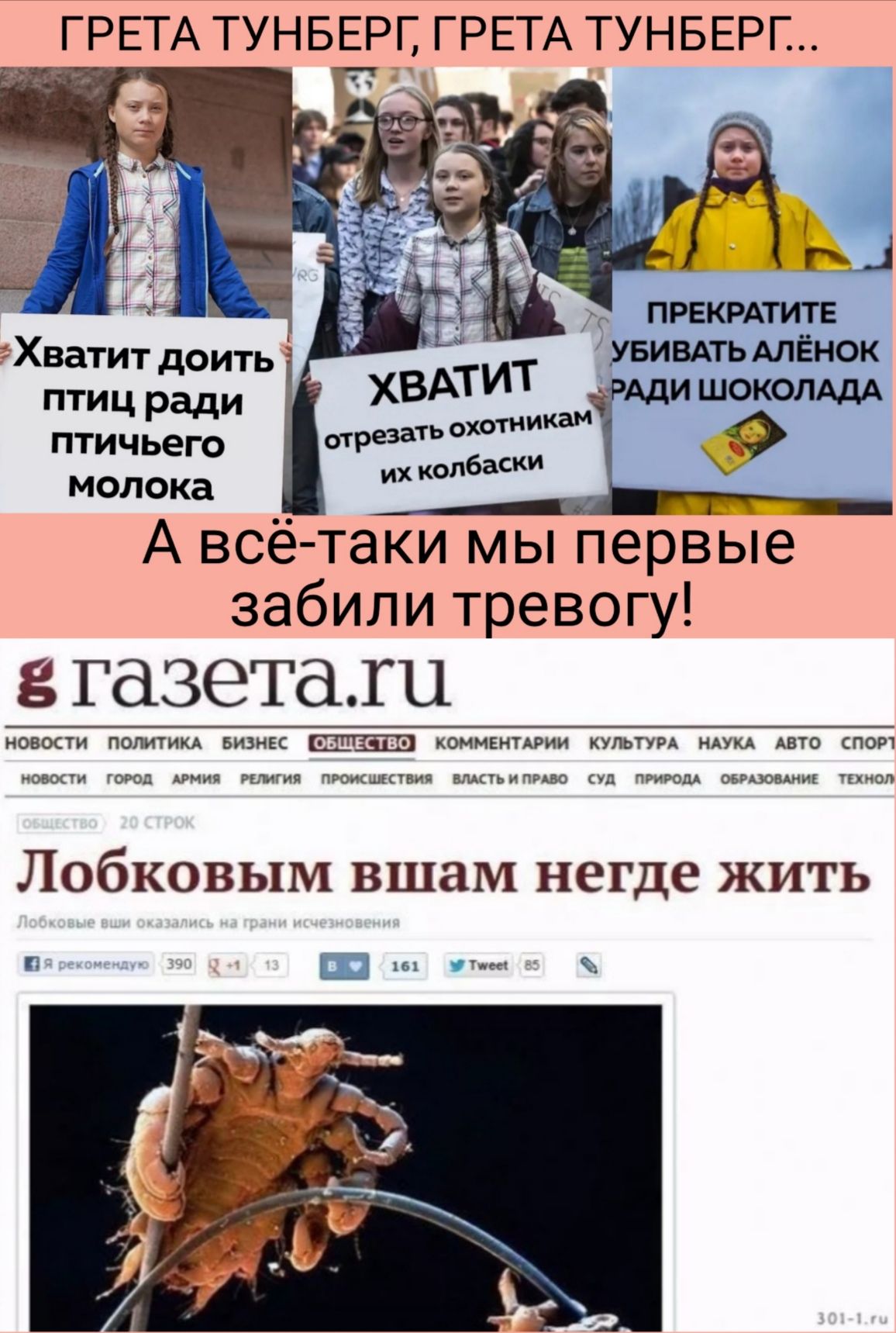 ГРЕТА ТУНБЕРГ ГРЕТА ТУНБЕРГ ці ПРЕКРАТИТЕ УБИВАТЬАЛЁНОК птичьего хвдтит Ади шок отрезать охотникам ОШ М0Л0ка их колбаски _9 А всё таки мы первые забили тревогу 8 газета новости политикд Бизнвс коммвнцрии КУЛЬТУРА НАУКА Авто спот ПТИЦ ради ОВОСТИ ГОРОП АРМИЯ РШГИЯ ПМТВИЯ ВМСТЬИПРАБО Уд ПРИРОДА ОБРАЗОВАНИЕ ТКХИОЛ Лобковым вшаМ негде жить