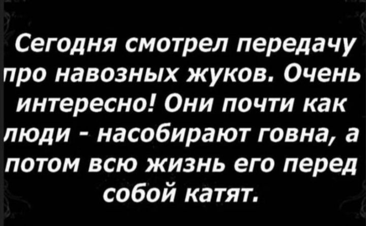Сегодня смотрел передачу про навозных жуков Очень интересно Они почти как люди насобирают говна а потом всю жизнь его перед собой катят