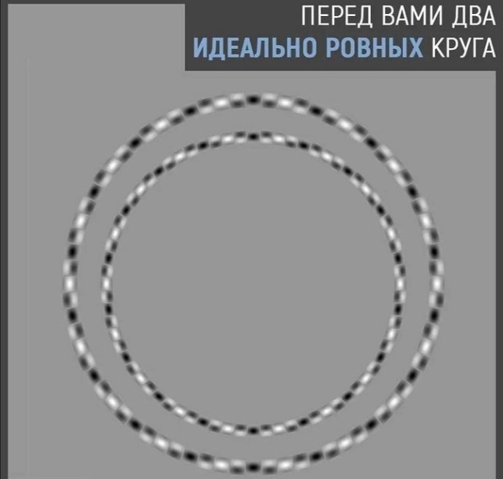 ПЕРЕД ВАМИ ДВА ИДЕАЛЬНО РОВНЫХ КРУГА