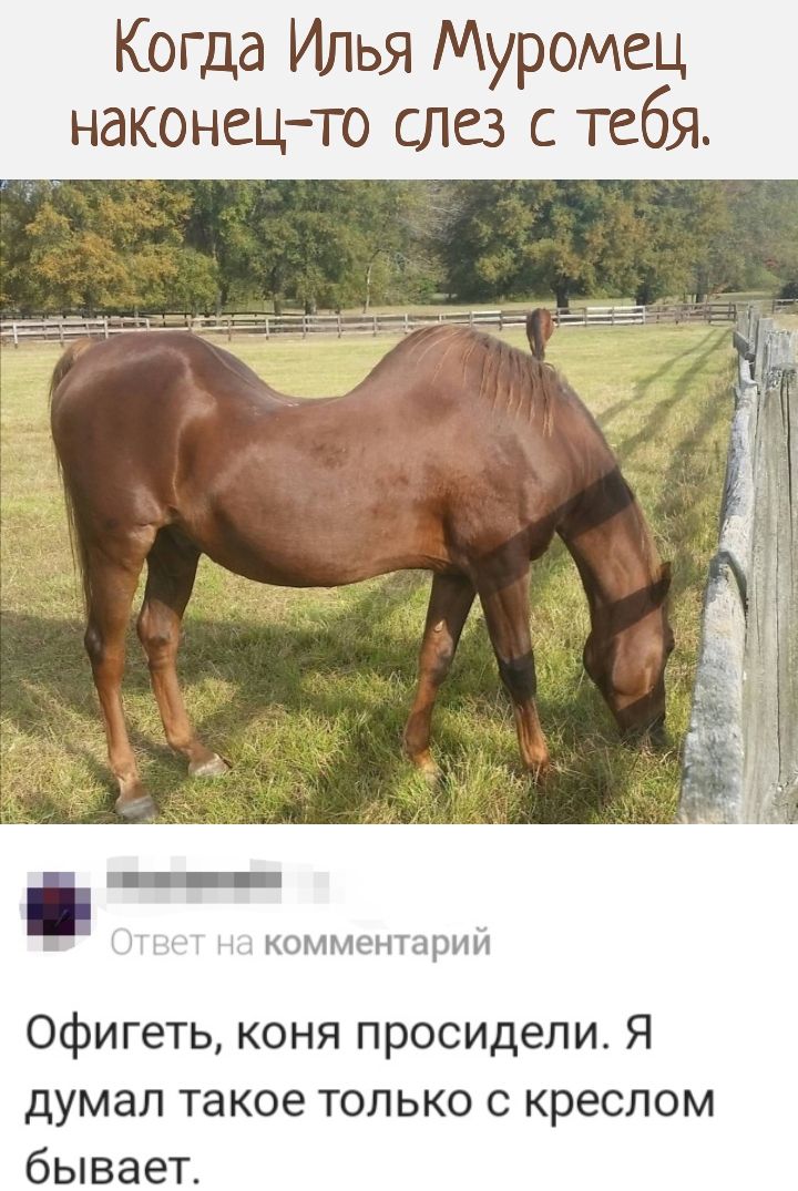 Когда Илья Муромец наконец то слез с тебя _ КОММОНТЦРНИ Офигеть коня просидели Я думал такое только с креслом бывает