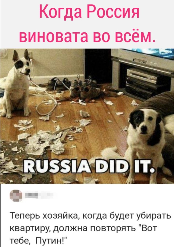 Теперь хозяйка когда будет убирать квартиру должна повторять Вот тебе Путин