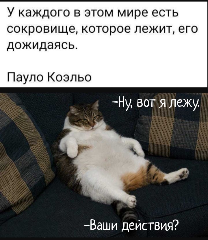 У каждого В ЭТОМ МИРЕ ЕСТЬ СОКРОВИЩЕ КОТОРОЕ ЛЕЖИТ ЕГО дожидаясь Пауло Коэльо Ну вот я Лежу Ваши действия