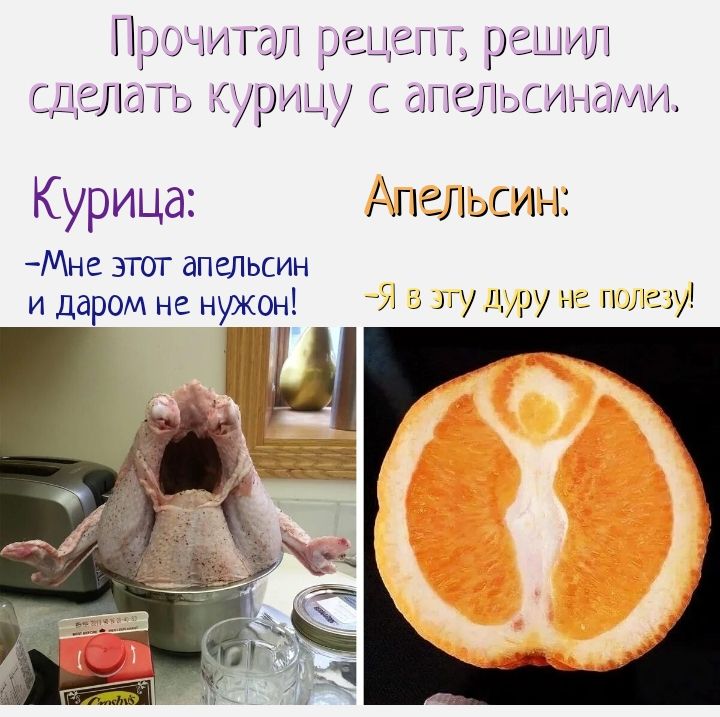 00 гг ое длать Угмду н ранил Ты Курица Апельсин Мне этог апельсин И даром не нужен а у ру из г и