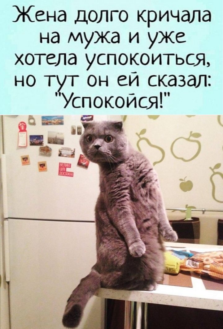 Жена долго кричала на мужа и уже хотела успокоиться но тут он ей сказал Успокойся
