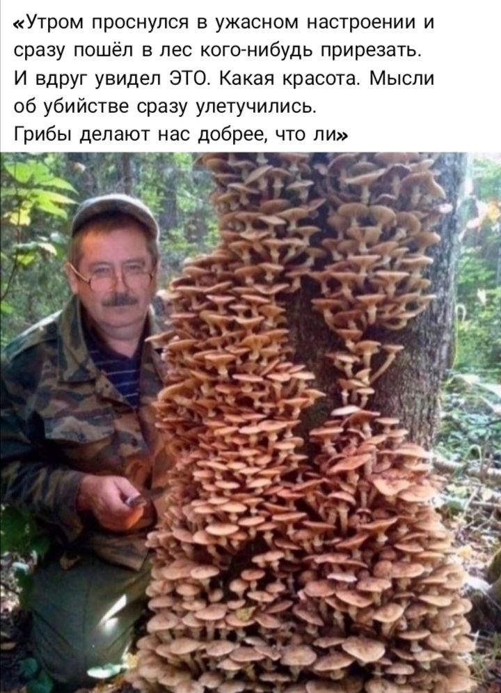 Утром проснулся в ужасном настроении и сразу пошёл в лес Кого нибудь прирезать И вдруг увидел ЭТО Какая раста Мысли об убийстве сразу улетучились Грибы депаю1 нас добрее что ли