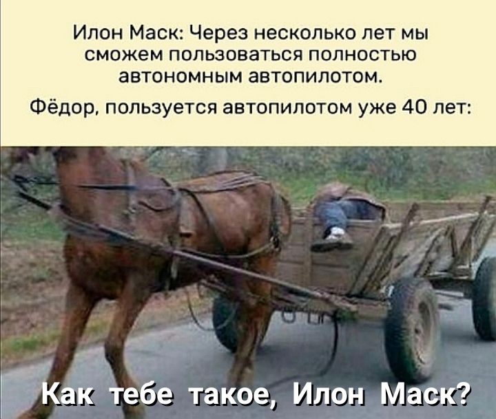Ипон Маск Через несколько лет мы сможем ПОПШПВЗТЬСЯ ПОПНПСТЬЮ автономным автопилотем Фёдор пользуется автопилотом уже 40 лет __ _ не _ Как тебе такое Ипон Маск