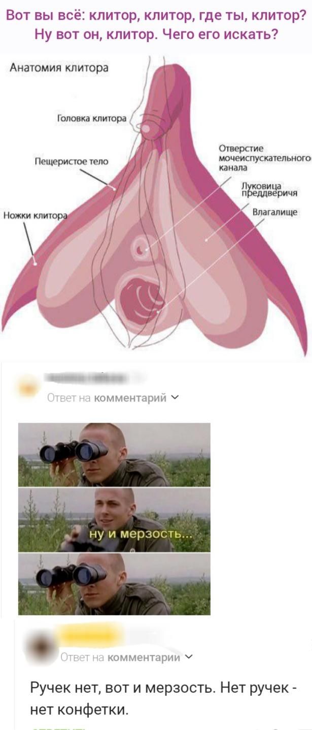Вот вы всё: клитор, клитор, где ты, клитор? Ну вот он, клитор. Чего его искать? Анатомия клитора. Головка клитора. Пещеристое тело. Ножки клитора. Отверстие мочеиспускательного канала. Луковица преддверия. Влагалище. Ответ на комментарий. ну и мерзость... Ответ на комментарий. Ручек нет, вот и мерзость. Нет ручек - нет конфетки.