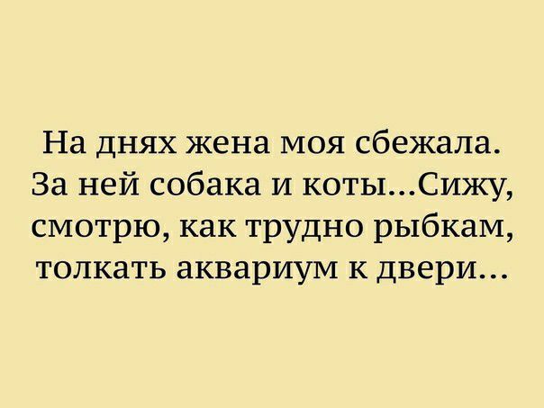 На днях жена моя сбежала За ней собака и котыСику смотрю как трудно рыбкам толкать аквариум к двери