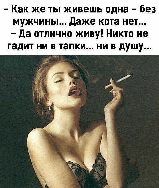 Как же ты живешь одна без мужчины Даже кота нет да отлично живу Никто не гадит ни в тапки ни в душу