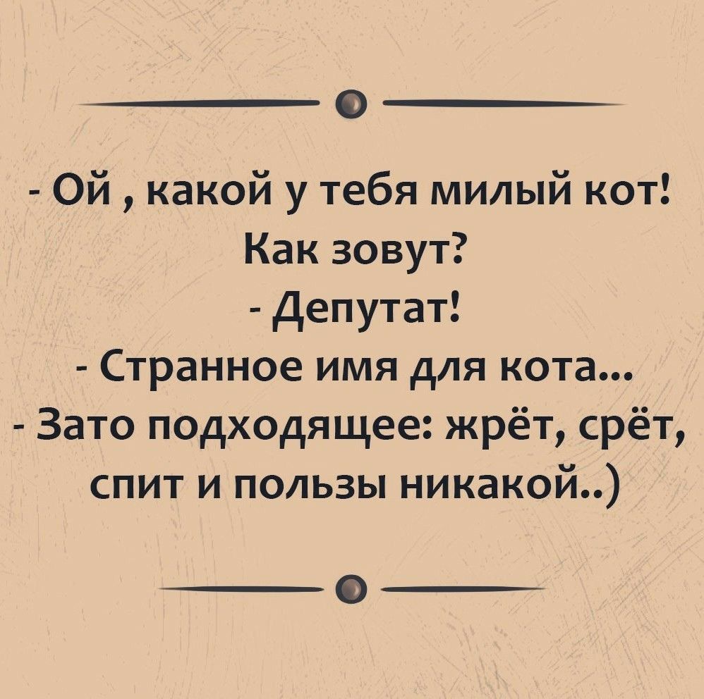 Ой какой у тебя милый кот Как зовут Депутат Странное имя для кота Зато подходящее жрёт срёт спит и пользы никакой